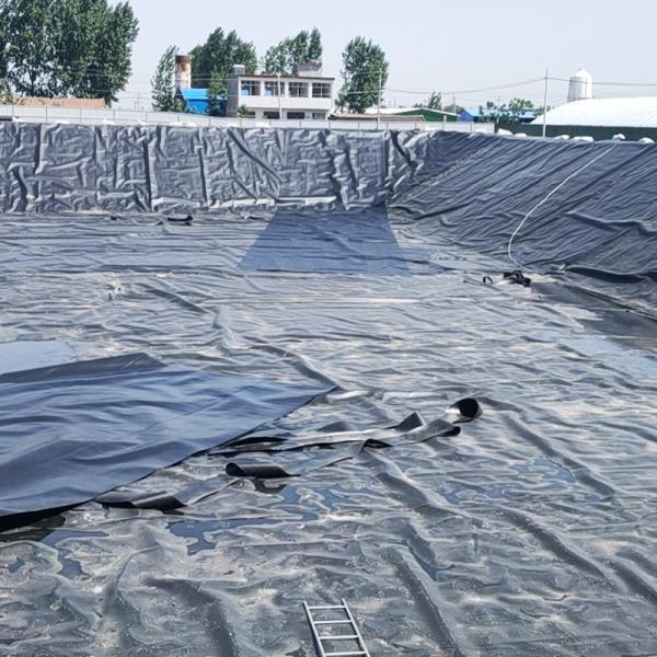 埋立地池ライニングおよび防水プロジェクト用ブラックHDPEジオメンブレンライナー