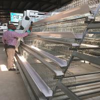 Acero galvanizado Smart Mini Poultry Cage System 3birds/Door 5doors