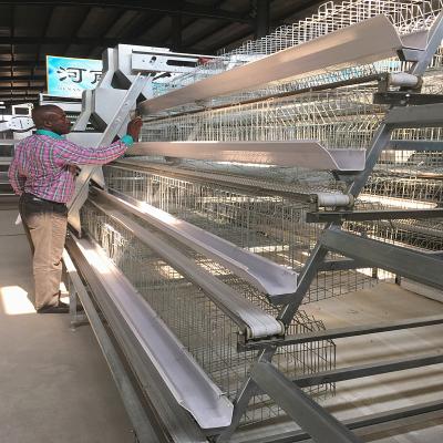 Aço galvanizado Smart Mini Poultry Cage System 3birds/Door 5doors
