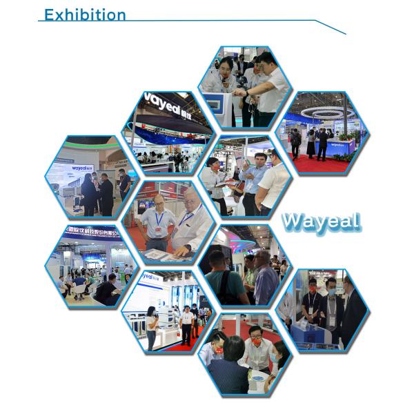 Analisador quantitativo de teste rápido 96 Wells do PCR da fluorescência do tempo real 5 canais