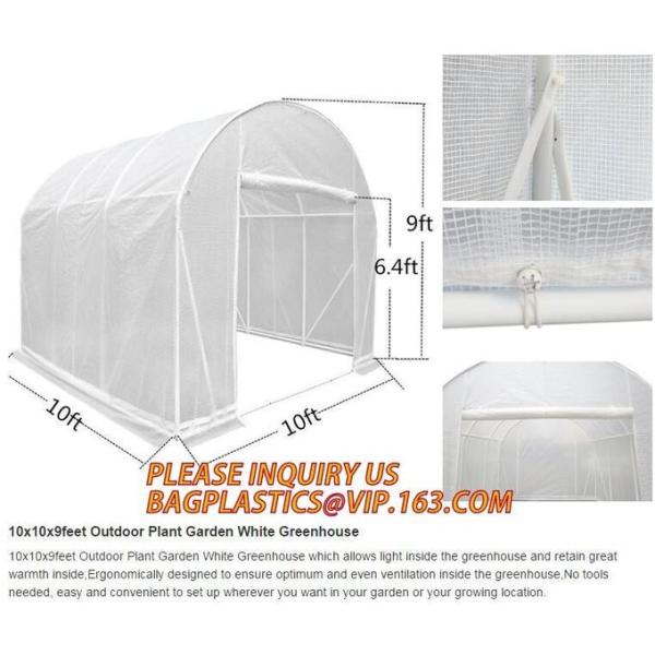 Greenhouse, Agricultural Polyethylene Film, Mulch Films, Horticultural Products, Perforated Wrap, Tomato, Flowers
