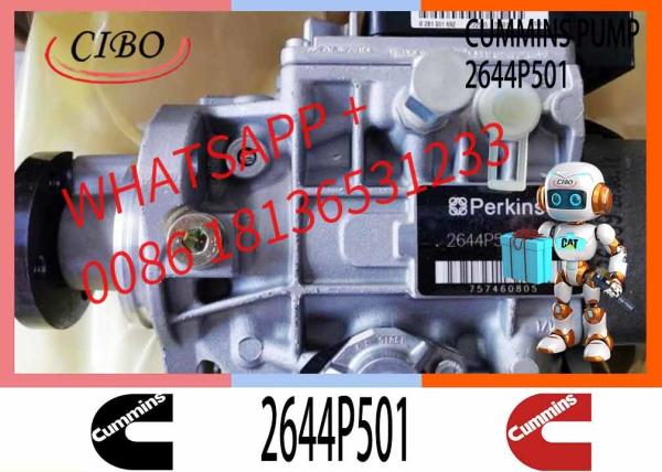 Bomba de óleo de alta pressão 2644P501 Bomba diesel 2644P501 motores