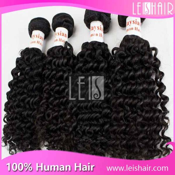 Golden supplier supply 100% Natural cheap malaysian curly hair