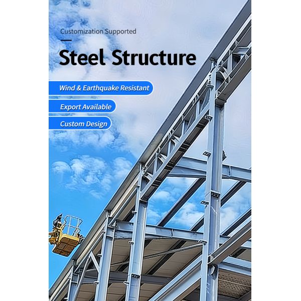 Prefab Steel Structure Warehouse Building Kits, Industrial Workshop & Petrol Station Canopy Roof, One Stop Solution Low Cost Steel Construction