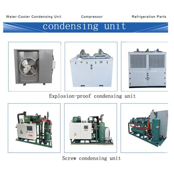TAG2522ZBR Commercial 6HP Refrigeration Unit Air Cooled R404 Refrigerant Cold Storage Condensing Units