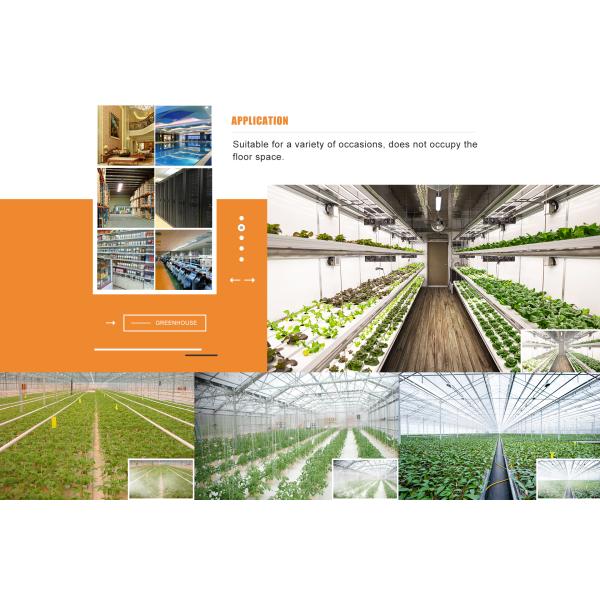 240L/D Industrial Dehumidifier Greenhouse Commercial Dehumidifier for Factory