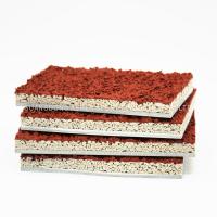 Utilisation matérielle fonctionnante d'athlétisme d'unité centrale de voie de tartan rouge résistant UV