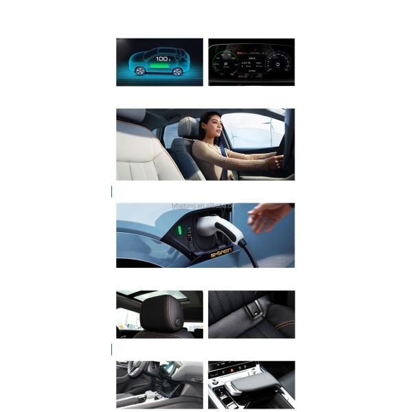 Energy Vehicle Audi E-Tron Maximum Power 230kW Vehicle Weight 2625kg from Chinese