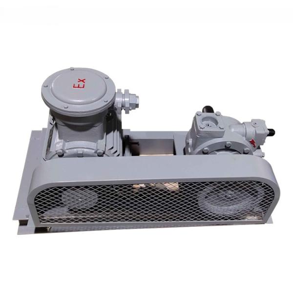 Electric Motor-Powered Standard Propane Vane Pump for Standard Fuel Transfer Requirements