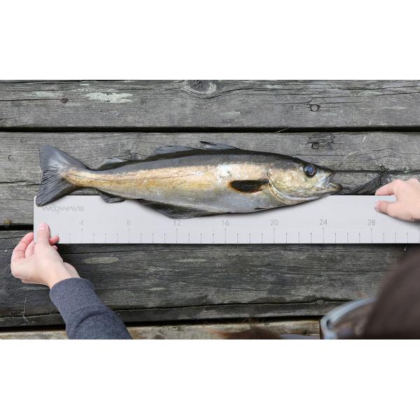 EVA Foam Fish Ruler for Measuring Fish Length on Boat Accessories Marine Fishing Tool