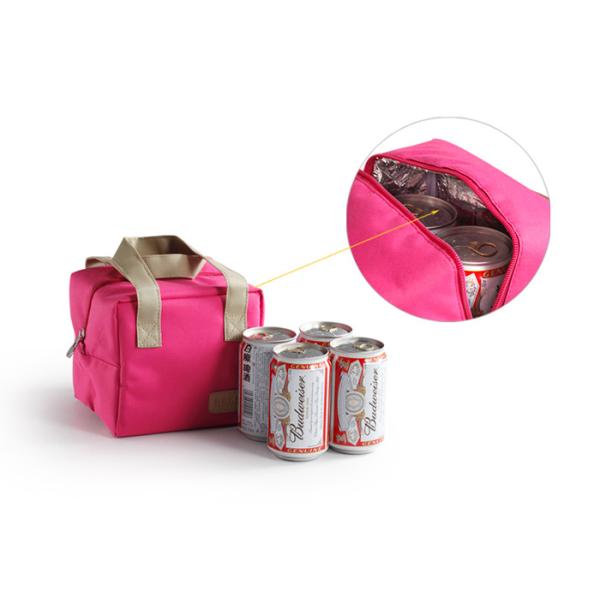 Eco Friendly Lunch Cooler Bags 300D Polyester Material For Unisex Adults