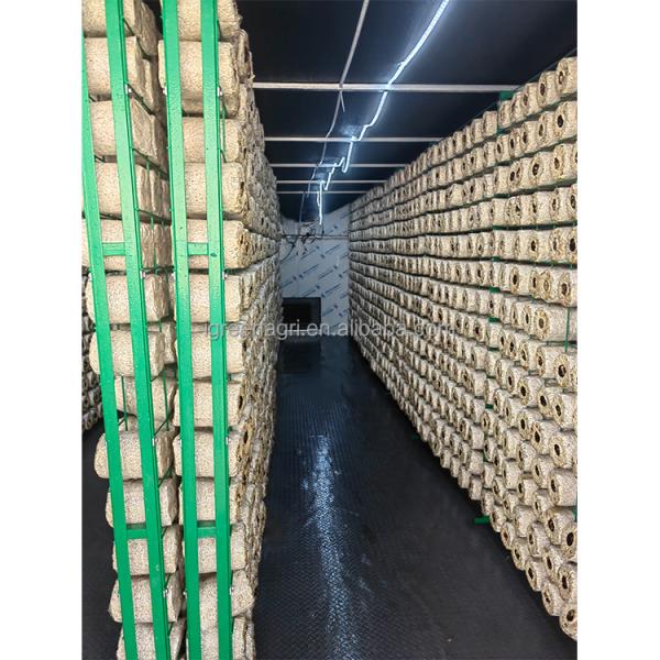 Single Span Greenhouse 20ft Agricultural Greenhouse For Mushroom Cultivation