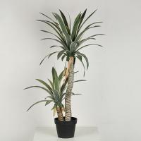 Árvore artificial do Dracaena da alta fidelidade com lado branco