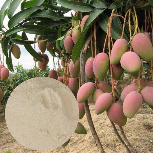 Light Yellow Powder 12% Organic Nitrogen Fertilizer