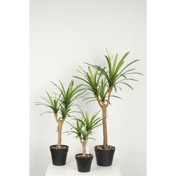 Flexible Glue Faux Dracaena Plant Black Plastic Pot 45 CM 62 CM 82 CM