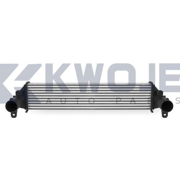Automotive Cooling Systerm Intercooler Tank Auto Evaporator Cooler 302000140AA For Chery Auto Spare Parts Exeed LX