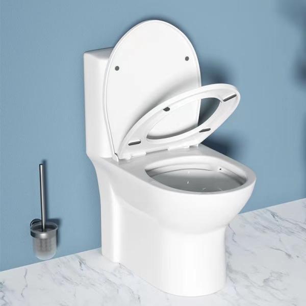 Туалет уборной Siphonic цельный удваивает вплотную санитарные изделия