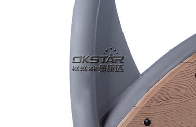 outdoor wooden fitness equipment--WPC body strong fitness equipment outdoor gym exercise bike