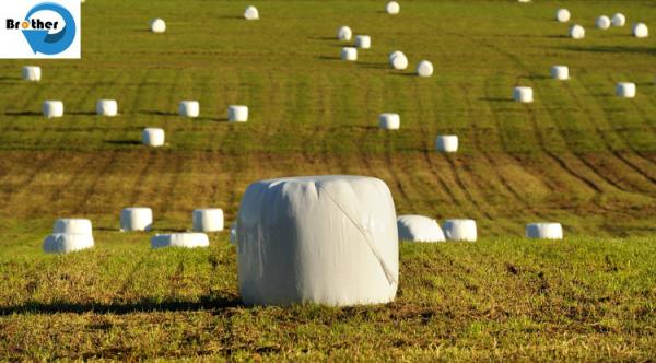 China 170gsm Custom Printed Round Hay Bale Plastic Bags , Woven Polypropylene Cloth Crush Resistance
