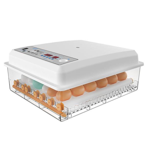 Automatic Eggs Incubator Machine for Poultry Egg Hatching in Shanghai or Nanjing