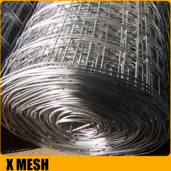 Galvanized Welded Wire Mesh for Fencing with Factory Price