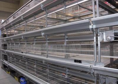 High Capacity Poultry Farm Cage System Broiler Chicken Cage  42 Kgs Weight