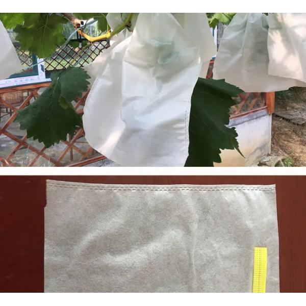 Антиптичьи противопожарные средства Противодействие насекомым Фрукты Нетканые пакеты Защита сельского хозяйства Пакеты для выращивания винограда