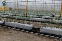 Hydroponics Planting Trough PP Roll Drain Spacer Folding Planter Gutter For Agriculture