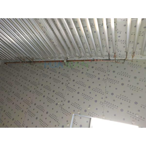 -35°C Cold Storage Room Direct Cooling Aluminum Row Blast Freezing Room For Meat Fish