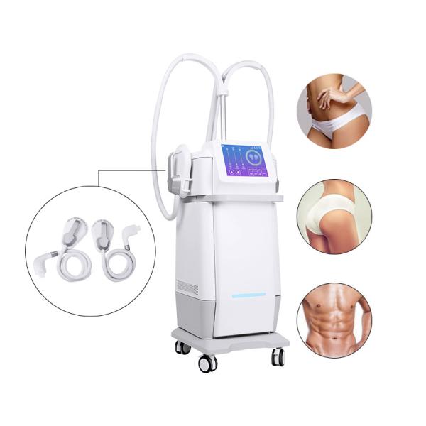 Máquina eletromagnética magnética do laser 220v IPL da perda gorda