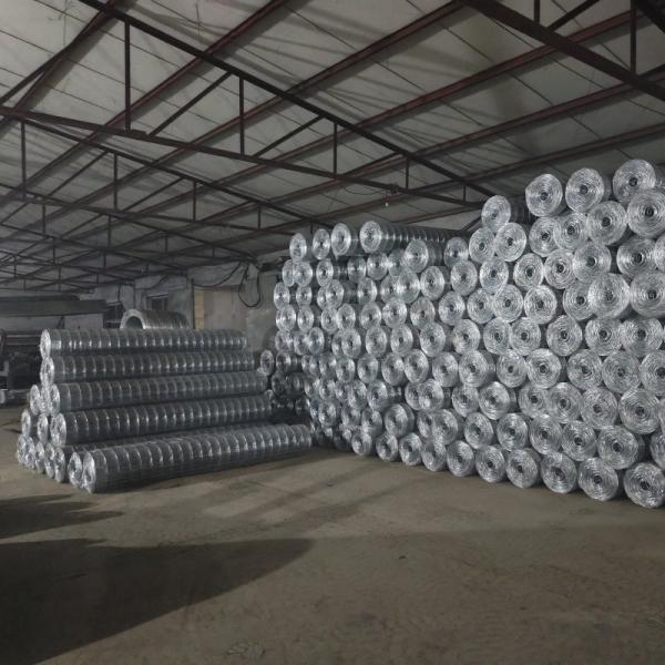 Directly Supply Welded Wire Mesh Roll for Rabbit and Bird Cage Corrosion Resistance