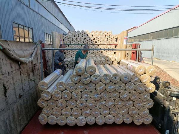 Direct Supply of Welded Wire Mesh Rolls with PVC Coated Steel Wire Protection