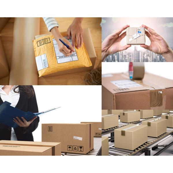 Экспедитор товароотправителя перевозки груза моря к США Европе Канаде