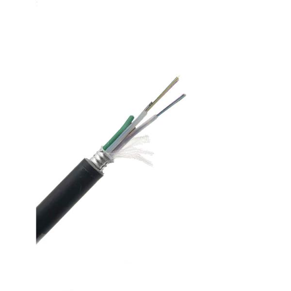 LSZH Anti Rodent Photoelectric Composite Cable SM 24C G652D PE Outdoor ADSS Optical Cable