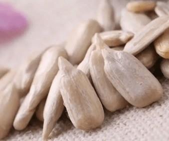 1% max Sunflower Heart Kernel Ideal for Delicious Snack Production