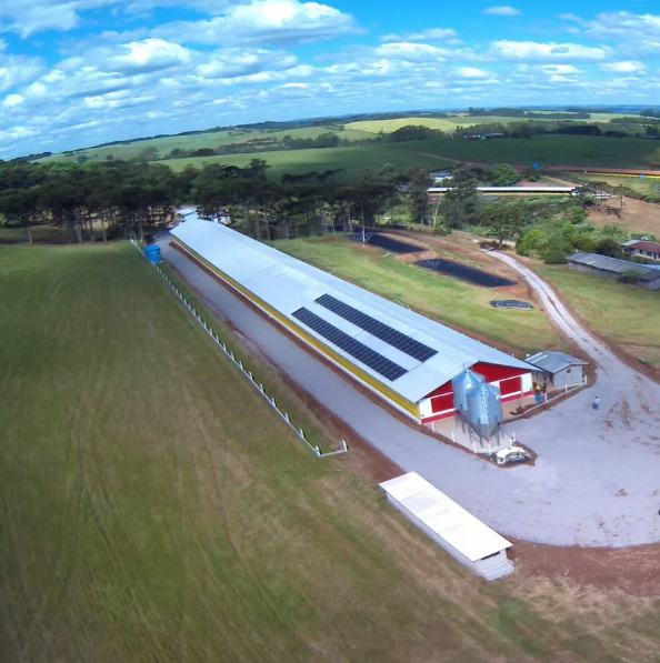 Modern Design Steel Structure Broiler House Chicken Warehouse For Farmhouse