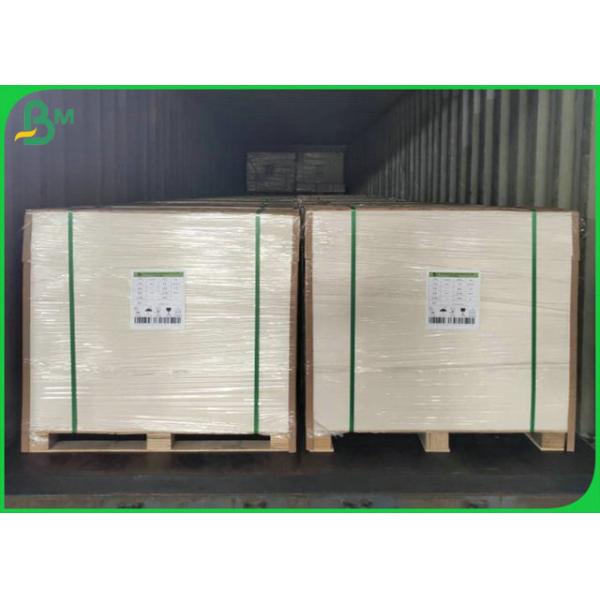Waterproof 190g 210g Cardboard Cup Paper Foodgrade For Paper Cup Raw Material Waterproof 190g 210g Cardboard Cup Paper Foodgrade For Paper Cup Raw Material