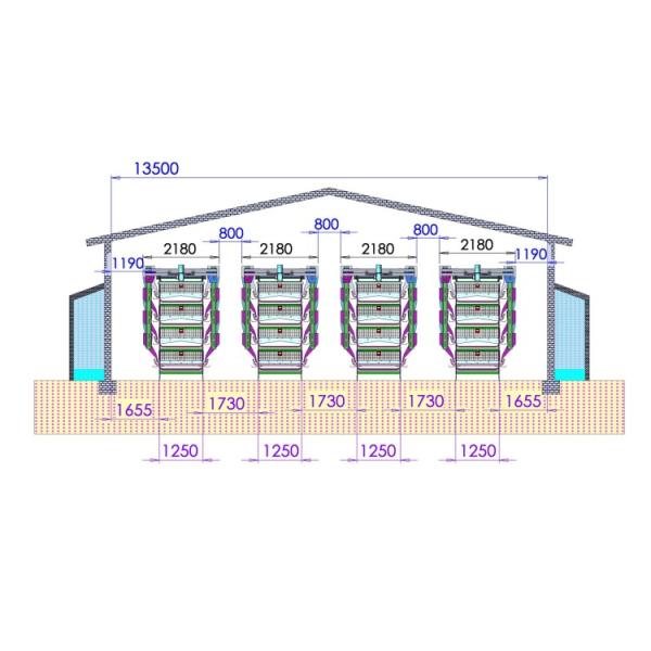 См системы 65 x 60 системы клетки батареи цыпленка бройлера яйца полностью автоматическое питаясь 50 x