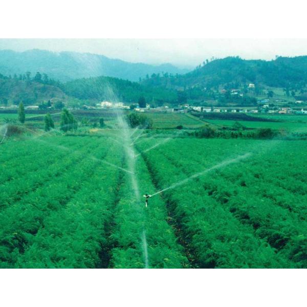 3/4'' Irrigation Impact Sprinklers Water Saving 3 Ways Nozzle