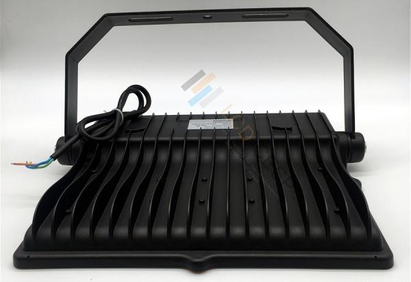 IP66 LED Security Flood Light