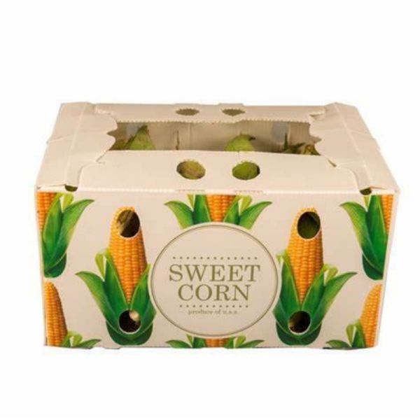 Custom Coroplast Packing Box for Fruits & Vegetables | Lightweight, Waterproof, Durable, Recyclable, Foldable, Stackable Plastic Crate | Custom Size Available