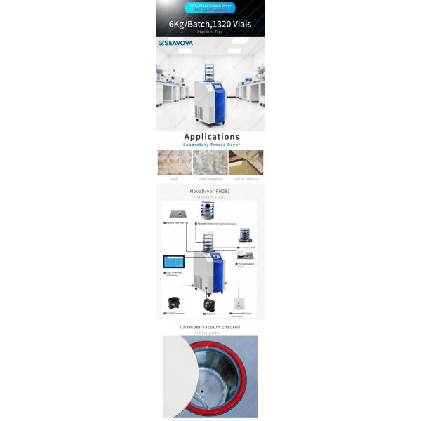 -60C Programmable Lab Lyophilizer 6Kg Lyophilization Laboratory
