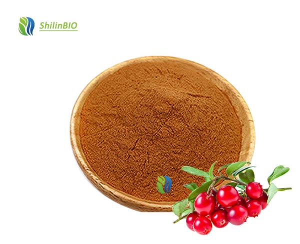 High Quality 10:1 20:1 Schisandra Chinensis Extract Powder Schizandrin