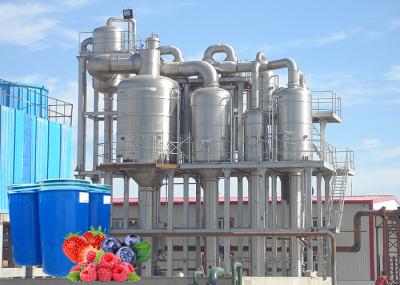 Beverage SUS 304 Jam Berry Processing Equipment