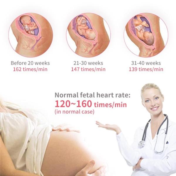 ABS Ultrasonic Home Pregnancy Doppler Baby Heartbeat Pocket Fetal Doppler