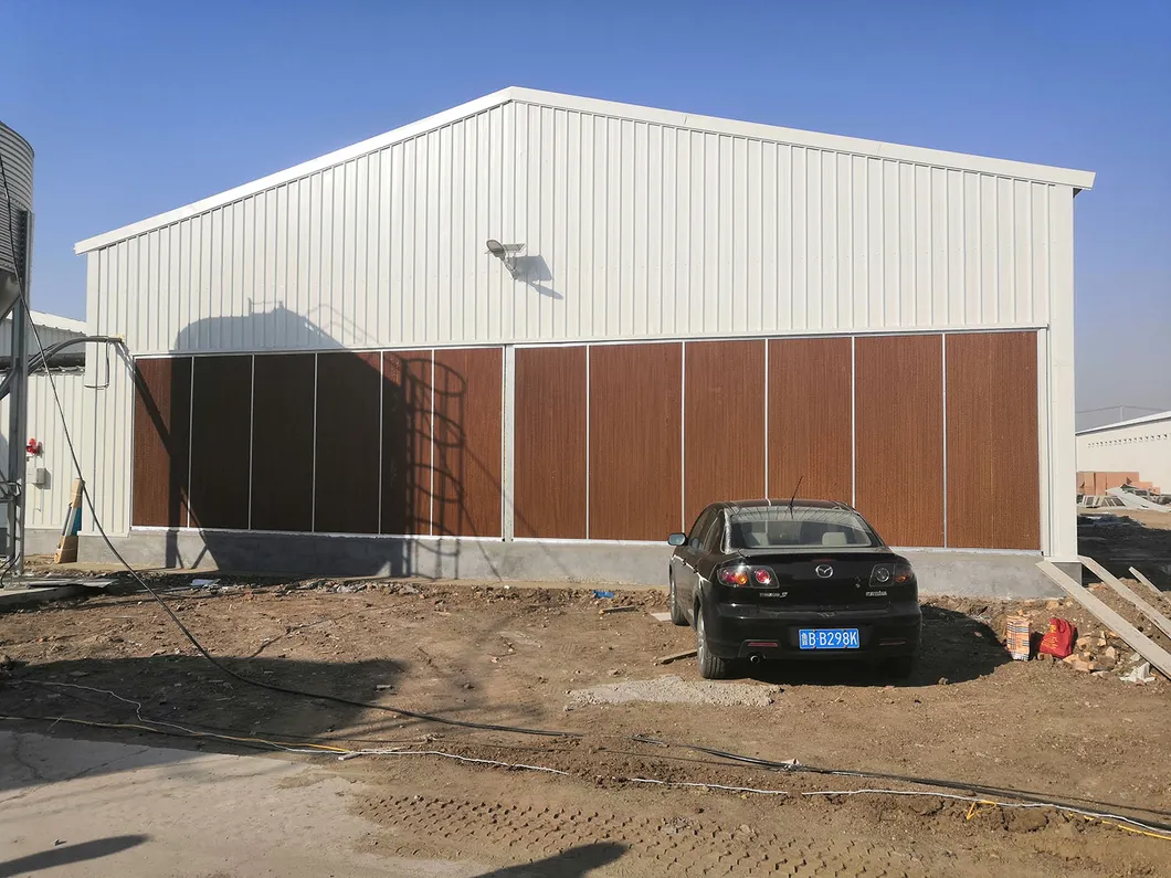 Metal Prefab Anticorrosion Light Steel Structure Poultry House