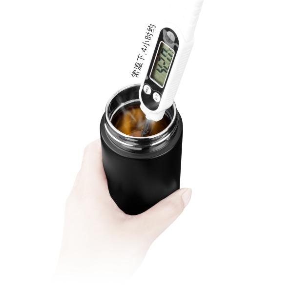 300ml Sustainable Double Wall Glass Tea Infuser Travel Cup