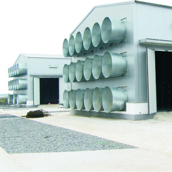 ABB WEG Motor Chicken House Exhaust Fan Poultry Farm Cooling ISO9001