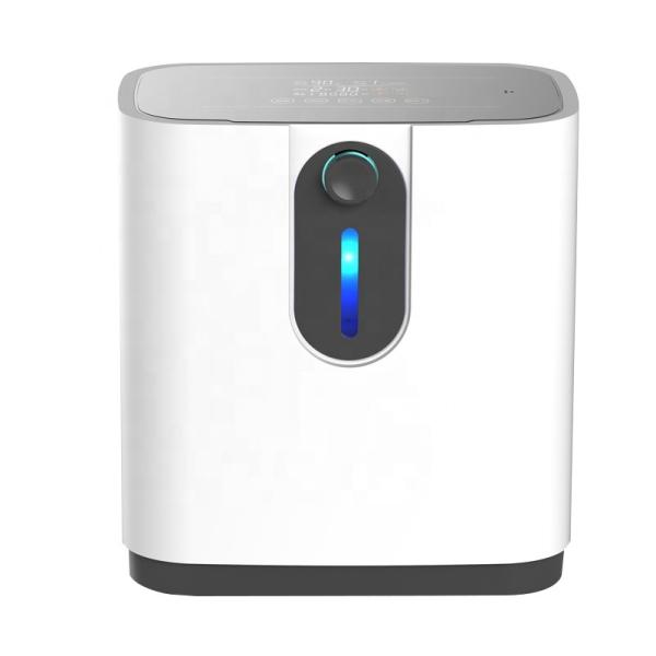 OEM 2l Electric Oxygen Generator Concentrator For Room