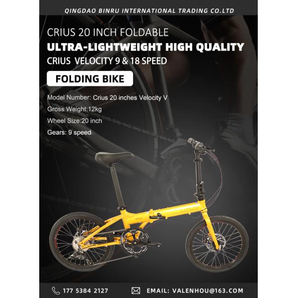 Переднее и заднее колесо V тормоз 20 дюймовый мини складный велосипед с SMN 3500 задним дрейлером